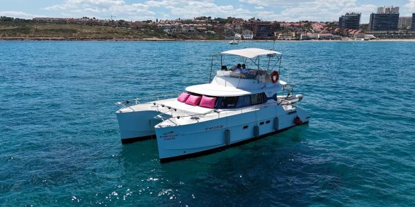 nomad sail catamaran 8